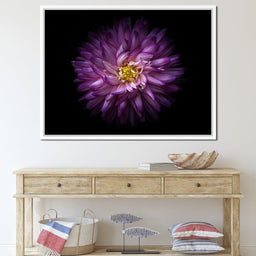 Backyard Flowers Series 1 - Brian Carson - NicheCanvas