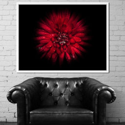 Backyard Flowers 45 - Brian Carson - NicheCanvas