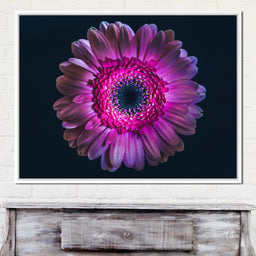 Purple Petals - NicheCanvas