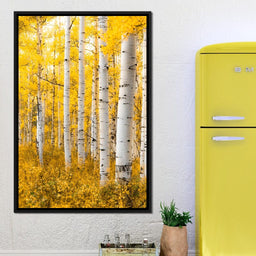 Yellow Forest - Colorado - Lucas Moore - NicheCanvas