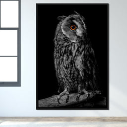 Black & White Owl - NicheCanvas