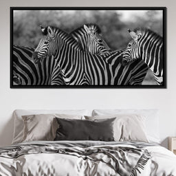 Zebra Herd in Black & White - NicheCanvas
