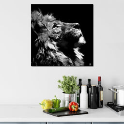 Lion Stare - Andy Brackpool - NicheCanvas