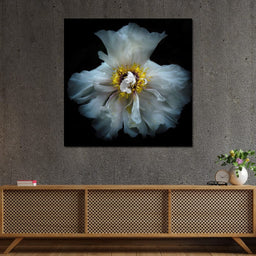 Backyard Flowers Series 4 - Brian Carson - NicheCanvas