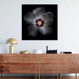 Backyard Flowers Color Version - Brian Carson - NicheCanvas