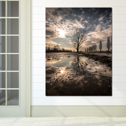 Reflections - Enzo - NicheCanvas