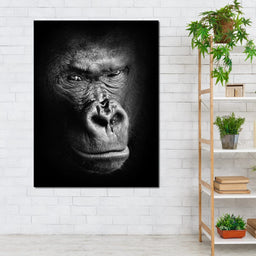 Black and White Gorilla - NicheCanvas