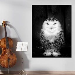 Black and White Snowy Owl - NicheCanvas