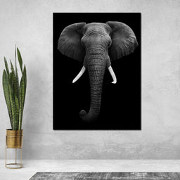 Black and White Elephant Face - NicheCanvas