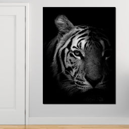 Black and White Fading Tiger - NicheCanvas