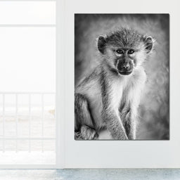 Monkey in Black & White - NicheCanvas