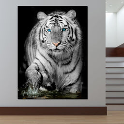 Blue Eyed Snow Tiger - NicheCanvas