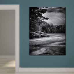 Gullwing Lake - Brian Carson - NicheCanvas