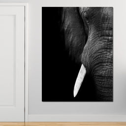 Black and White Elephant Close up - NicheCanvas