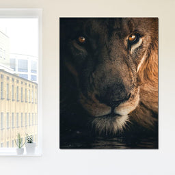 Lion Portrait Water - Zenzdesign - NicheCanvas