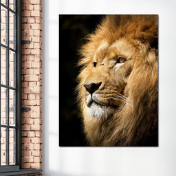 Lion View - Milos Karanovic - NicheCanvas