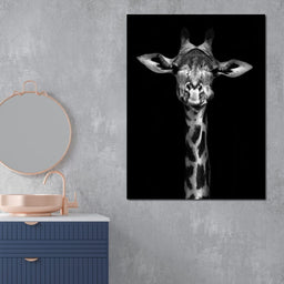 Black and White Giraffe - NicheCanvas