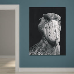 Black and White Shoebill Stork - NicheCanvas