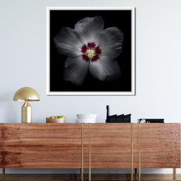 Backyard Flowers Color Version - Brian Carson - NicheCanvas