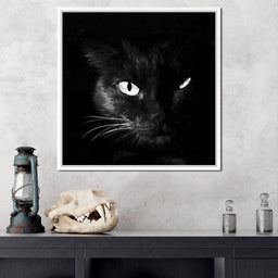 Black and White Cat - NicheCanvas