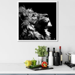 Lion Stare - Andy Brackpool - NicheCanvas