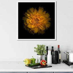 Orange Background Flowers - Brian Carson - NicheCanvas