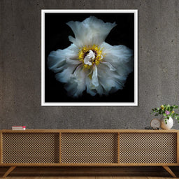 Backyard Flowers Series 4 - Brian Carson - NicheCanvas