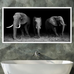 Black and White Elephants - NicheCanvas
