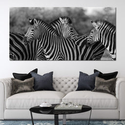 Zebra Herd in Black & White - NicheCanvas