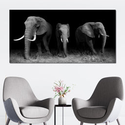 Black and White Elephants - NicheCanvas