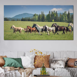 Horses of all Colors Running in a Pasture - Terrie Gray - NicheCanvas