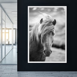 Icelandic Horse - NicheCanvas