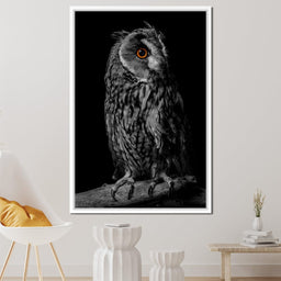 Black & White Owl - NicheCanvas