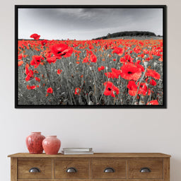 Flanders Fields - NicheCanvas