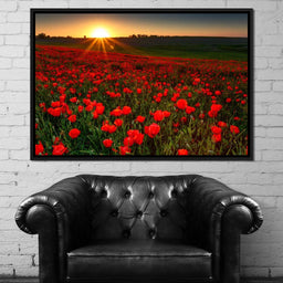 Red Poppies Field - NicheCanvas