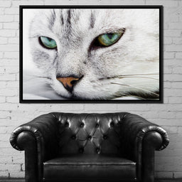 Cat Relaxing - NicheCanvas