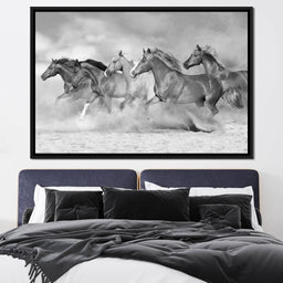 Black & White Horses Heard - NicheCanvas