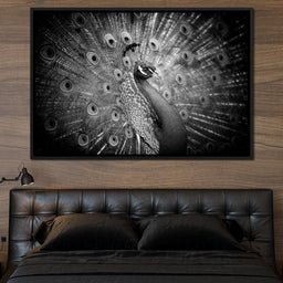 Black and White Peacock - NicheCanvas