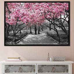 Pink Blossoms in Black and White - NicheCanvas