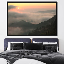 Fog over the Forest - NicheCanvas