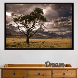 Stormy Afternoon - NicheCanvas