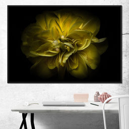Yellow Backyard Flowers - Brian Carson - NicheCanvas