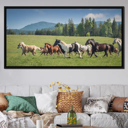 Horses of all Colors Running in a Pasture - Terrie Gray - NicheCanvas