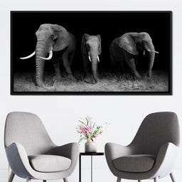 Black and White Elephants - NicheCanvas