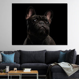 Black French Bulldog - NicheCanvas