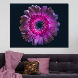 Purple Petals - NicheCanvas