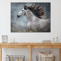 andalusian horse - NicheCanvas