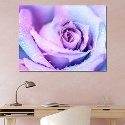 Winter Rose - NicheCanvas