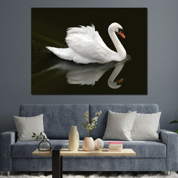 Swan - Ben Heine - NicheCanvas
