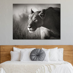 Lioness - NicheCanvas